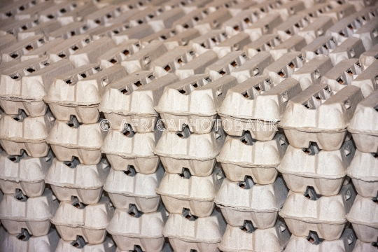 bulk eggs
