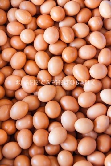 egg background