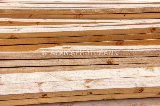 pine timber