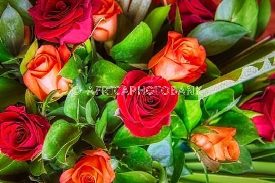 floral background