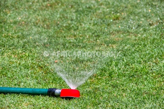 sprinkler on lawn