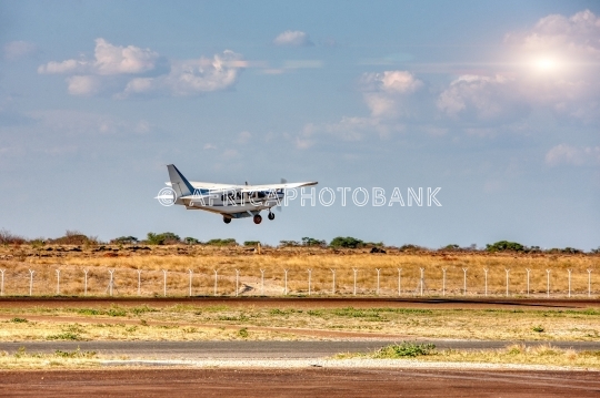 bush plane