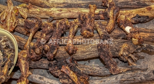 dry bones