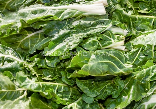 washed spinach