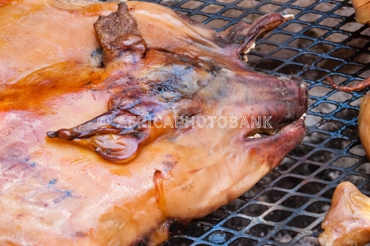 barbeque piglet