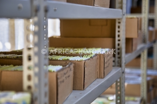 shelves with boxes