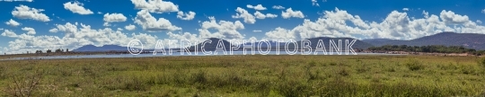 african landscape