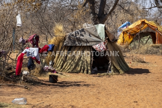 refugee camp