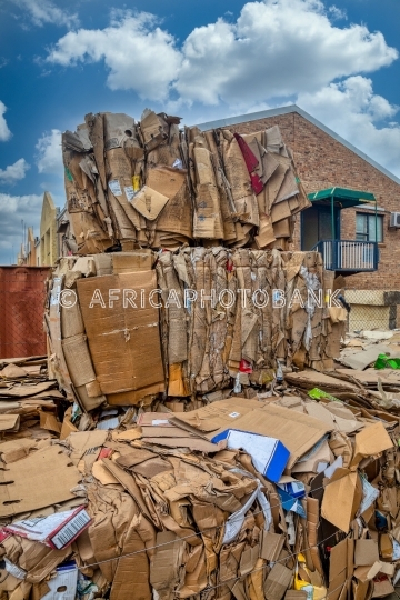 paper recycling