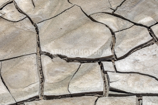 dry land