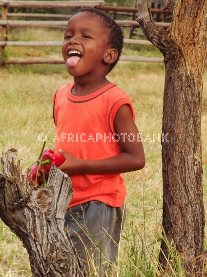 kid showing tongue