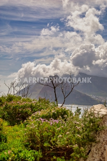 table mountain