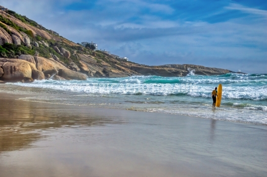 surfer enter ocean