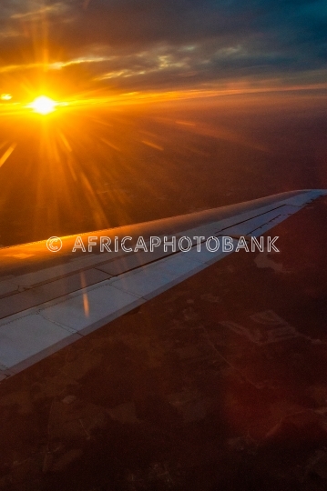 wing sunset