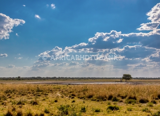 African landscape