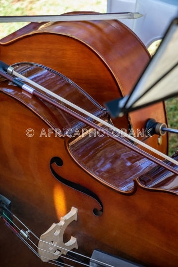 two cellos