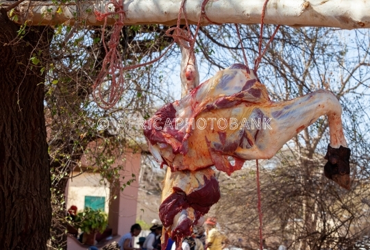 cow slaughter