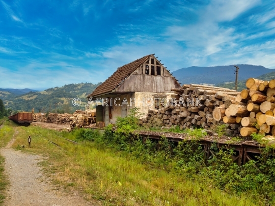 deforestation Romania