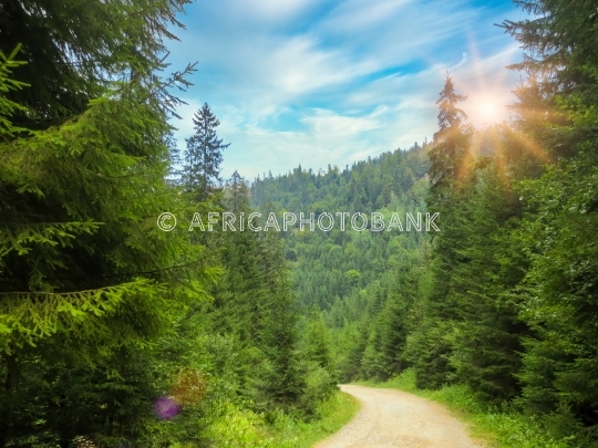 Carpathian mountains