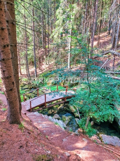 Carpathian mountains
