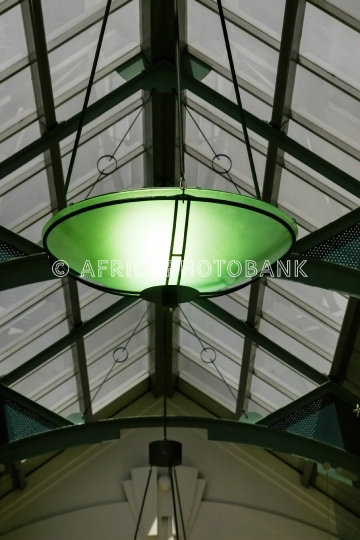 suspended light shade