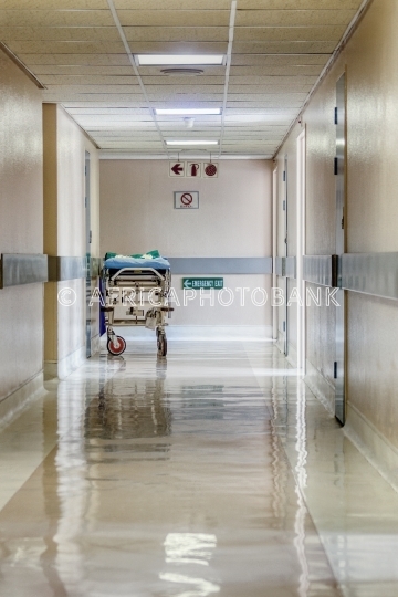 hospital hallway bed