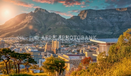 cape town streets