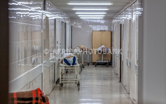 corpses morgue