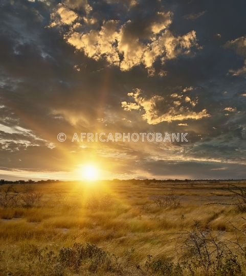 African sunset