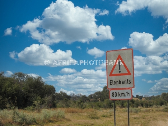 elephants sign
