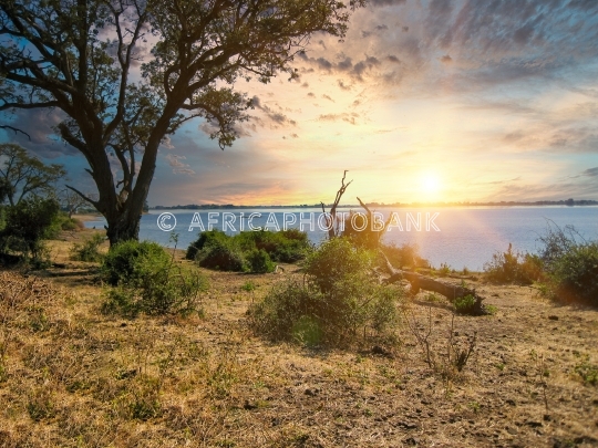 African landscape