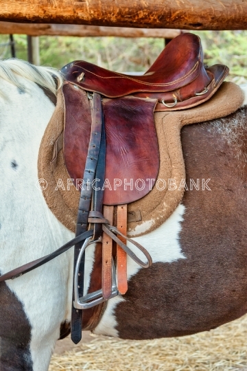 saddle