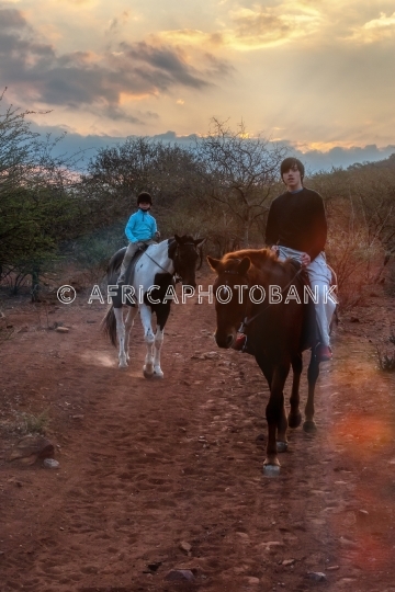 horse trail riding