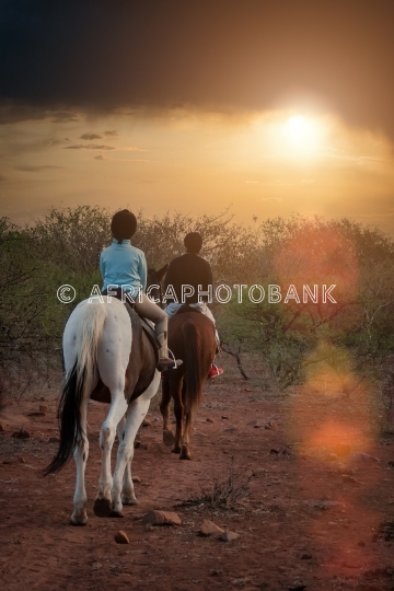 night horse riding