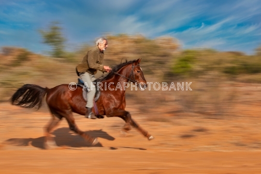 Texan rider