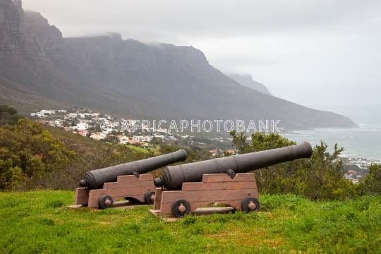 two canons
