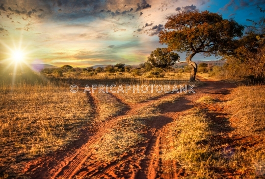 African landscape