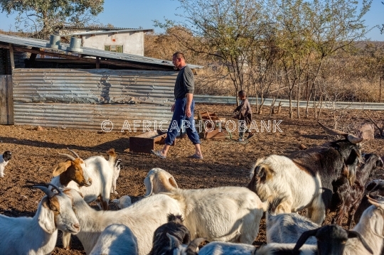 village life