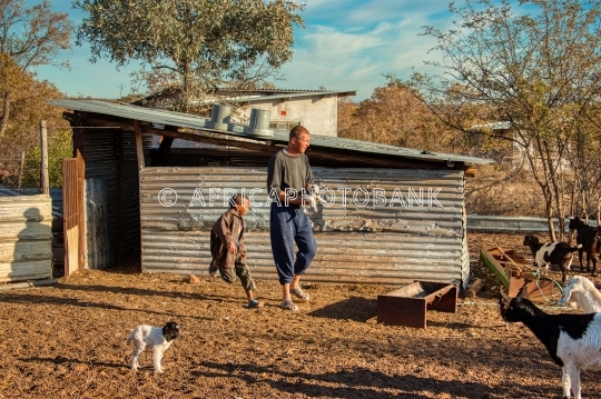 village life