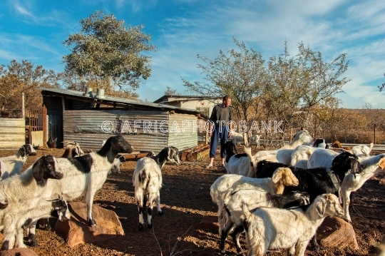 village life