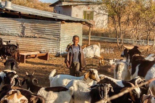 village life