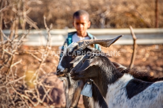village life