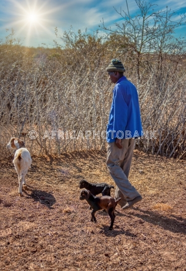 african herdsman