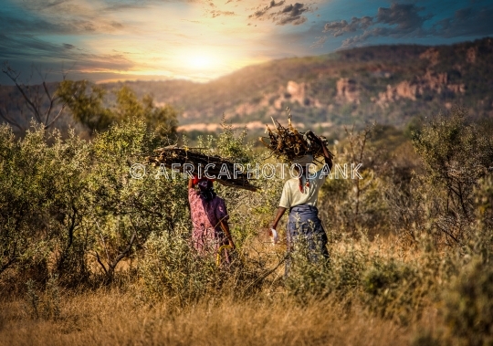 African woman carry wood