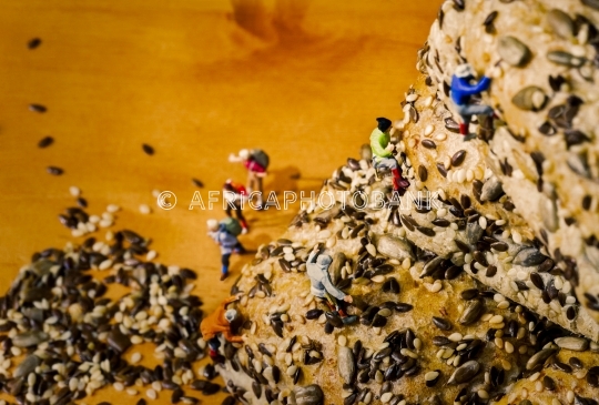 climbers