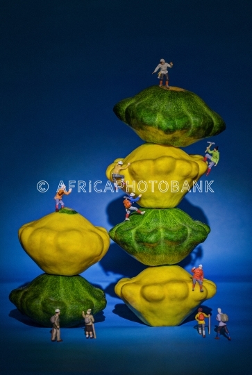 Pattypan squash