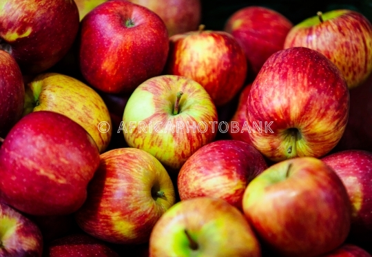 clorfull red apples background
