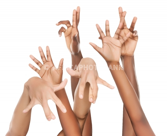 Multiracial group of hands