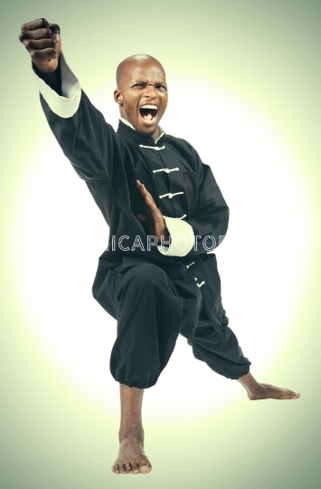 kung fu african