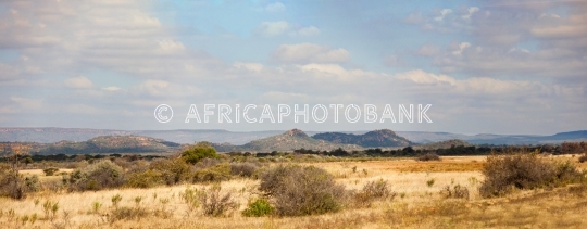 Typical Sub Saharan bushveld landscape  